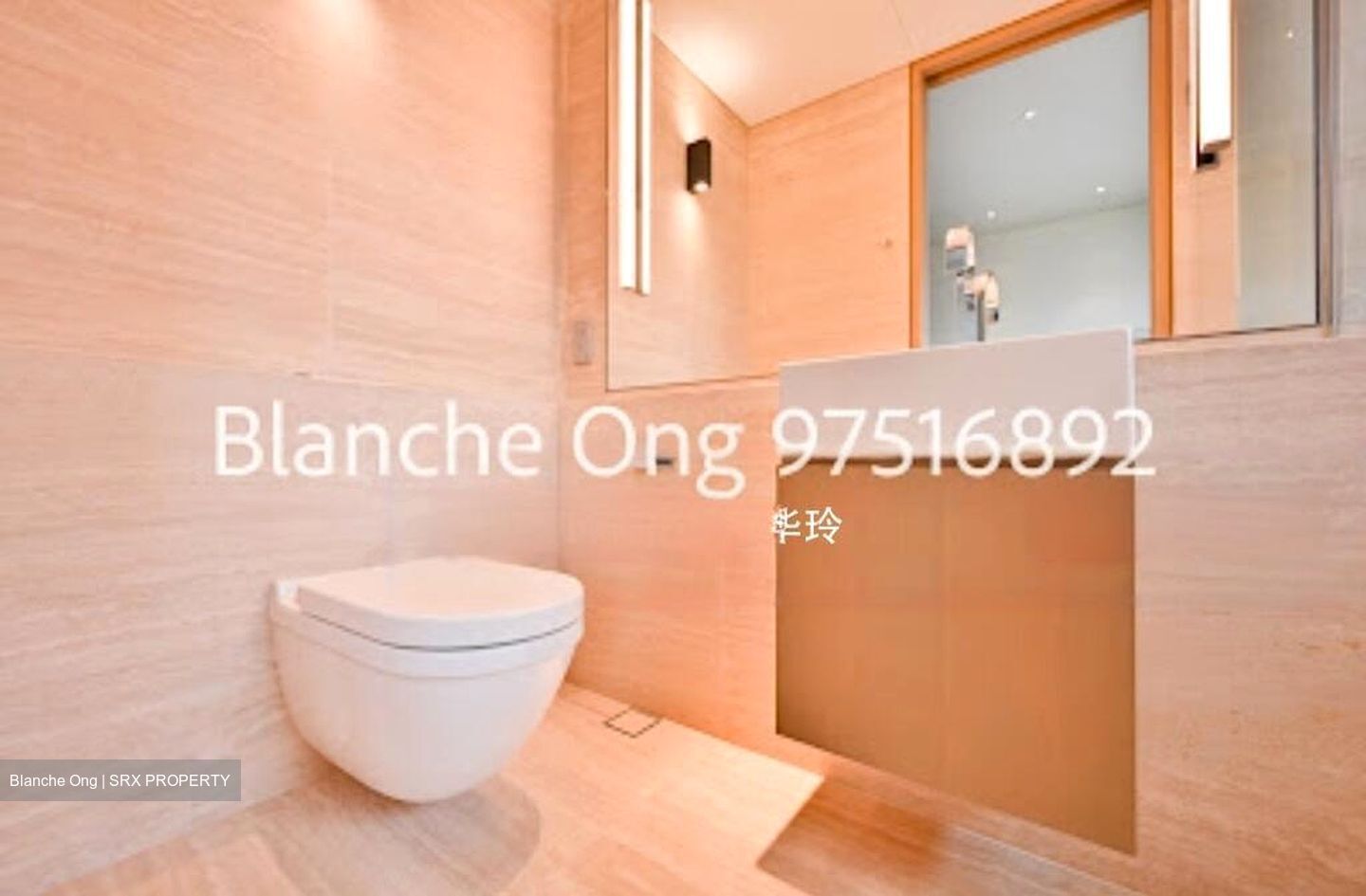 Hana (D10), Condominium #511288191